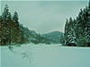 LangenauWinter